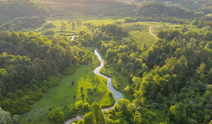 Greenscape in Ontario Canada