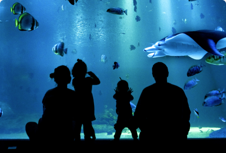 Employees At Aquarium For Employee Appreciation Event